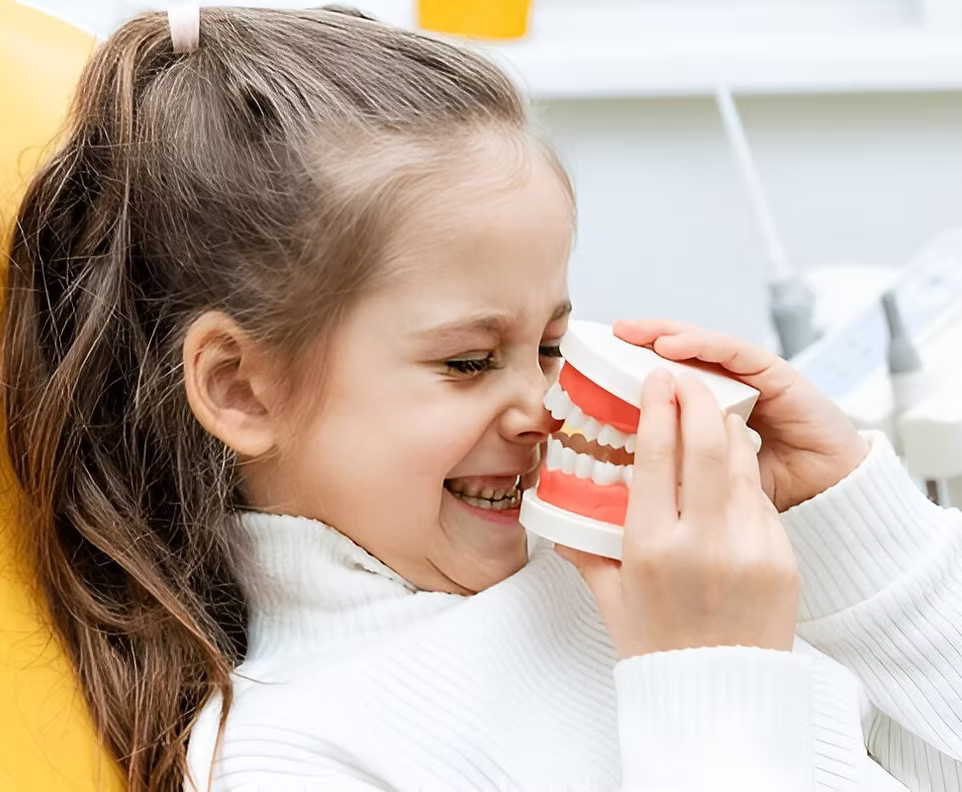 Smiling young girl holding dental model of teeth in a pediatric dentist’s office